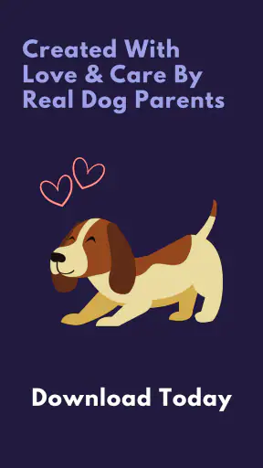 Relax My Dog : Calmly screenshot