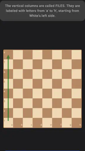 Schach lernen: Schach spielen screenshot