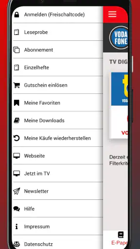 TV DIGITAL- E-Paper screenshot