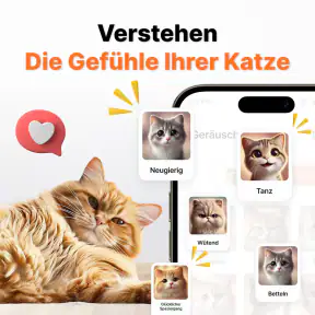 Übersetzer von Mensch zu Katze screenshot