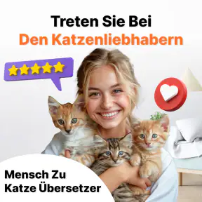 Übersetzer von Mensch zu Katze screenshot