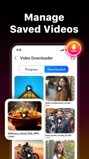 Video-Downloader & Launcher screenshot