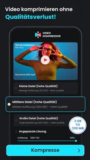 Video Komprimieren: AVI to MP4 screenshot