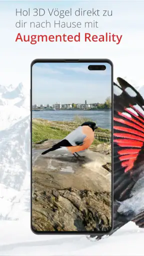 Vogelführer Birdlife Schweiz screenshot