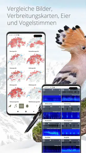 Vogelführer Birdlife Schweiz screenshot