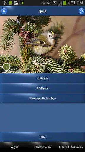 Vogelstimmen Id - Ruf + Gesang screenshot