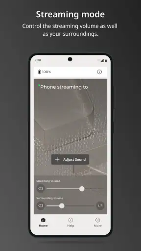 WIDEX ALLURE screenshot