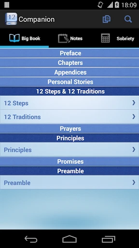 12 Steps AA Companion screenshot