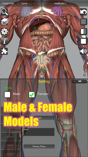 3D Anatomy screenshot
