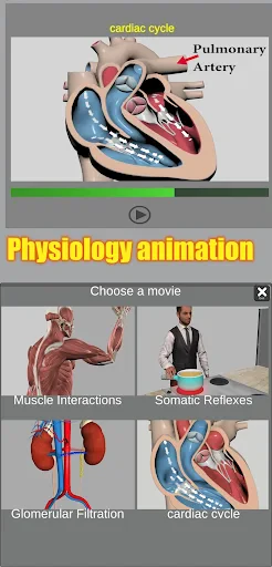 3D Anatomy screenshot