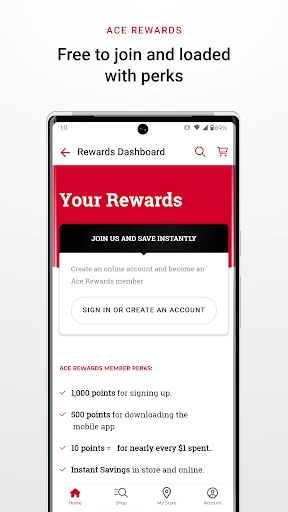 Ace Hardware screenshot