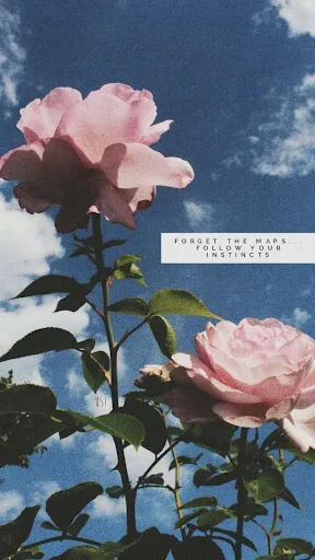 aesthetic background screenshot