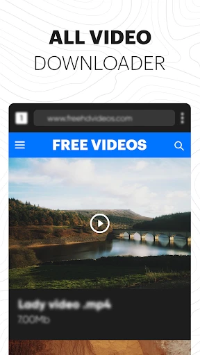 All Video Downloader - Browser screenshot