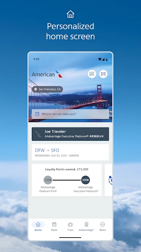 American Airlines screenshot
