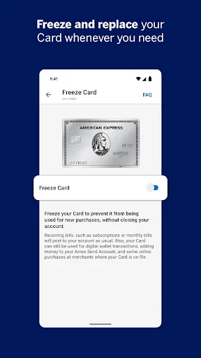 Amex screenshot