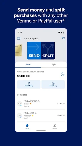 Amex screenshot