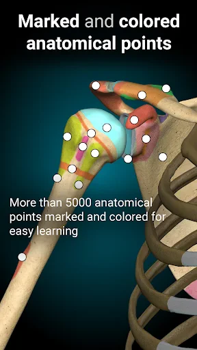 Anatomy Learning - 3D Anatomy screenshot