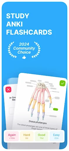 Anki Pro: Flashcards Learning screenshot