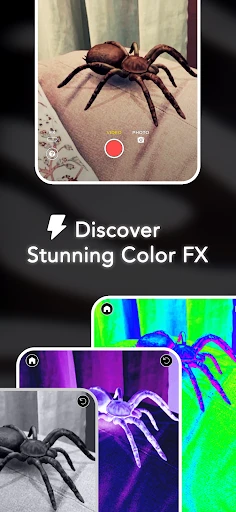 AR Spiders & Co: Scare friends screenshot