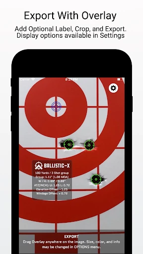 Ballistic X screenshot