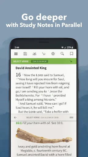 Bible App by Olive Tree screenshot