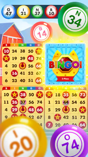 Bingo Country Boys: Tournament screenshot