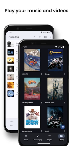 BubbleUPnP UPnP/DLNA License screenshot