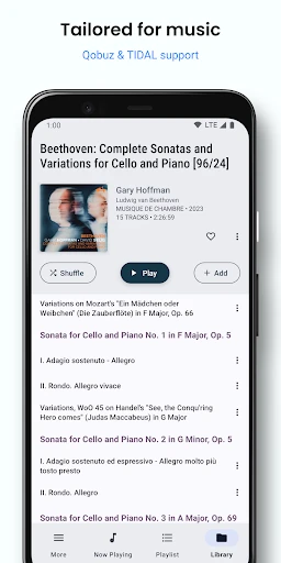 BubbleUPnP UPnP/DLNA License screenshot