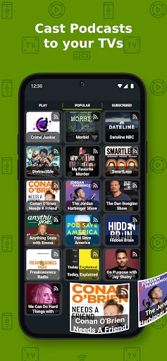 Cast to TV+ Chromecast Roku TV screenshot
