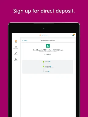 Classic Netspend screenshot