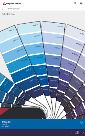 Color Portfolio screenshot