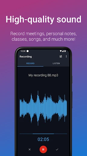 Easy Voice Recorder Pro screenshot