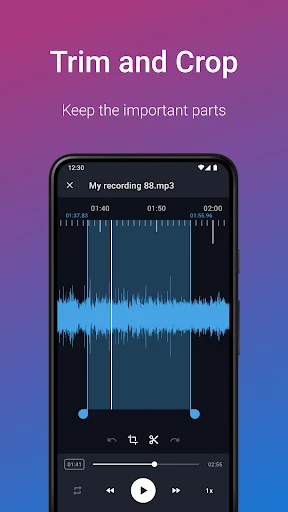 Easy Voice Recorder Pro screenshot