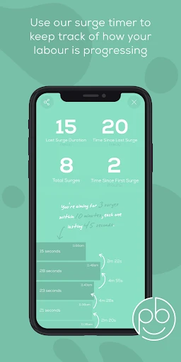 Freya - Surge Timer screenshot