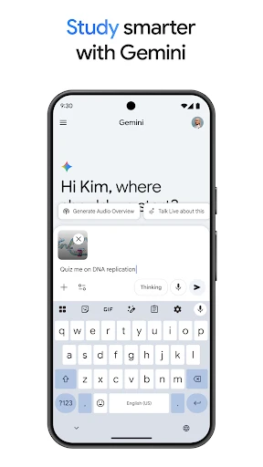 Google Gemini screenshot