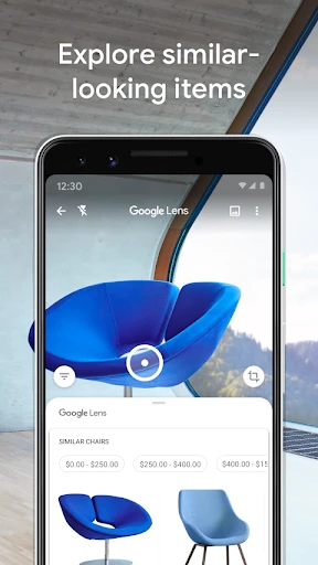 Google Lens screenshot