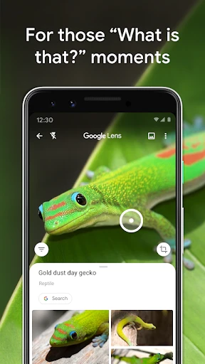 Google Lens screenshot