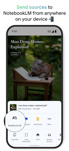 Google NotebookLM screenshot
