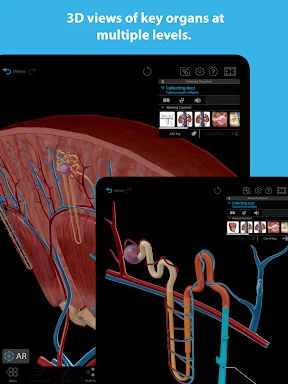 Human Anatomy Atlas 2025 screenshot