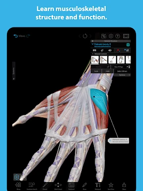 Human Anatomy Atlas 2025 screenshot
