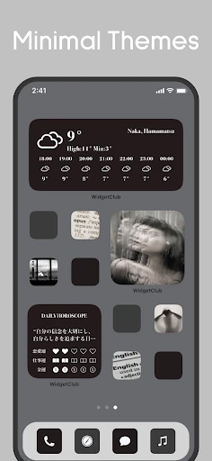 Icon changer & Widget Themes screenshot