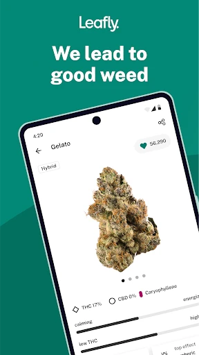 Leafly: Find Cannabis and CBD screenshot