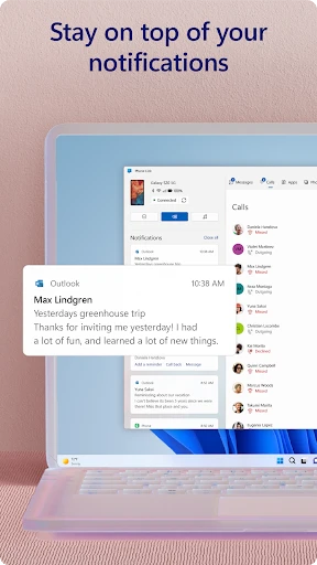 Link to Windows screenshot