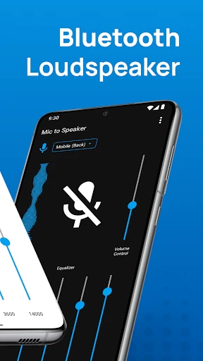 Live Mic to Bluetooth Speaker screenshot