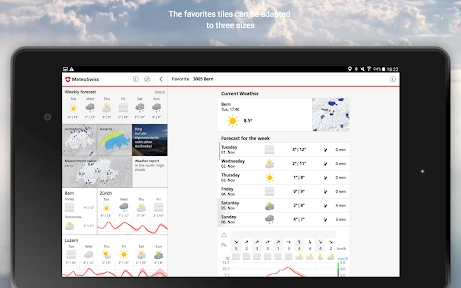 MeteoSwiss screenshot