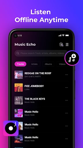 Music Echo-Offline Music screenshot