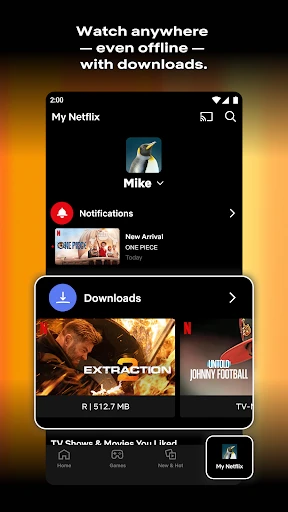 Netflix screenshot