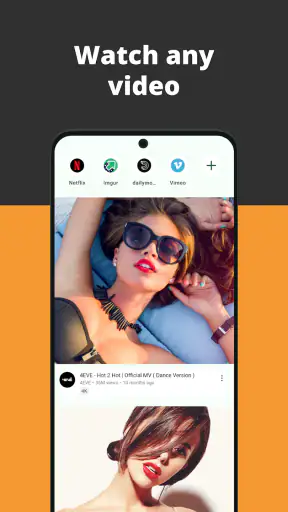 Video Browser screenshot
