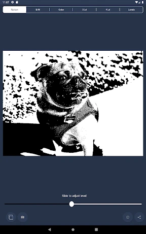 NotanIzer screenshot