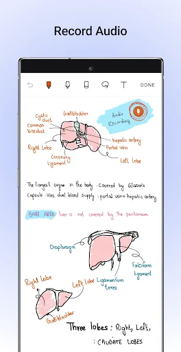 Noteshelf - Notes, Annotations screenshot